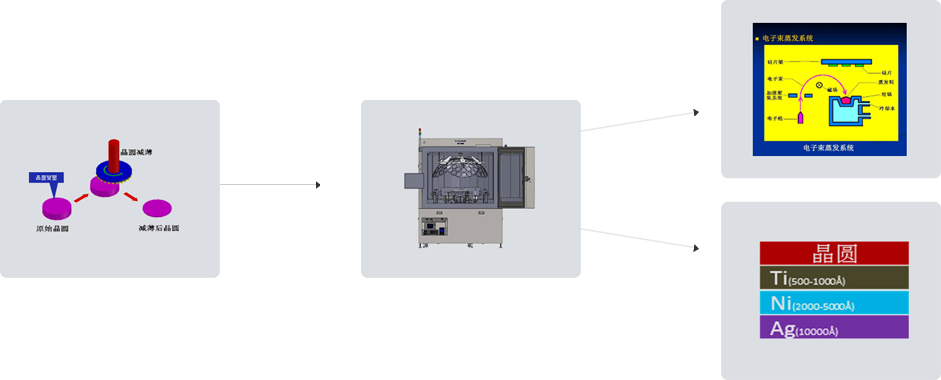 BGBM��CP����