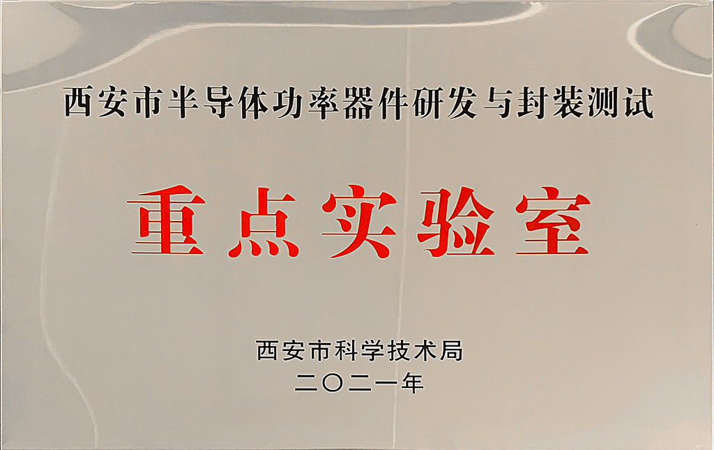 ��������΢��ͨ��2021�ꡰ�������ص�ʵ���ҡ��϶�