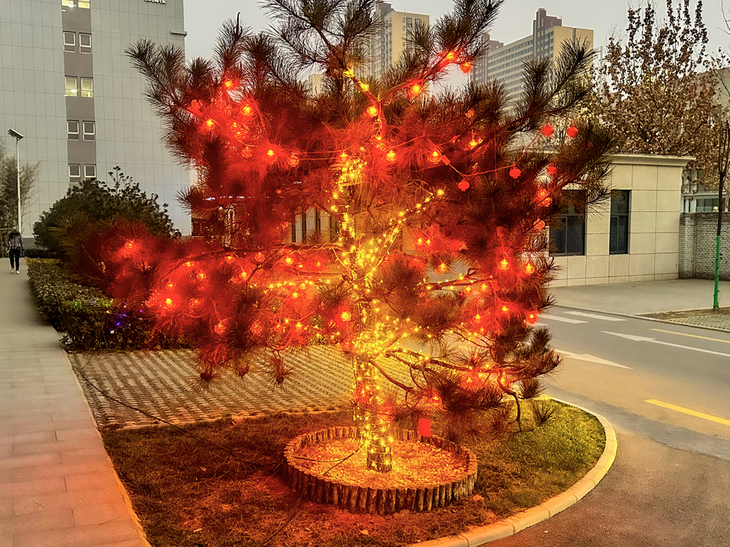 �ŵƽ��ӭ�´� ŨŨ��ζ������